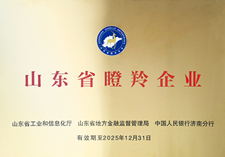 山東省瞪羚企業